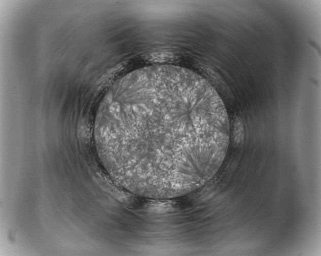 X0000102470569200809051335