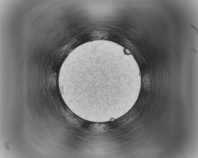 X0000102470570200809051335