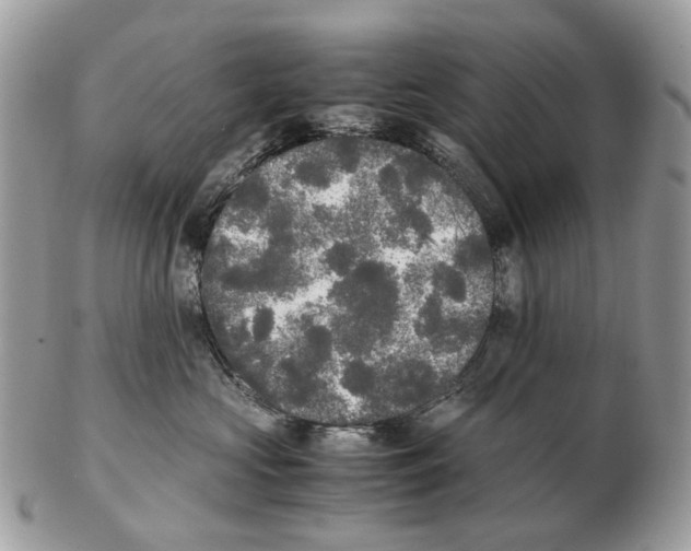 X0000102470573200809051335