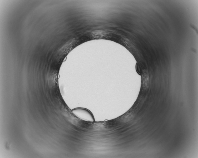 X0000102470574200809051335