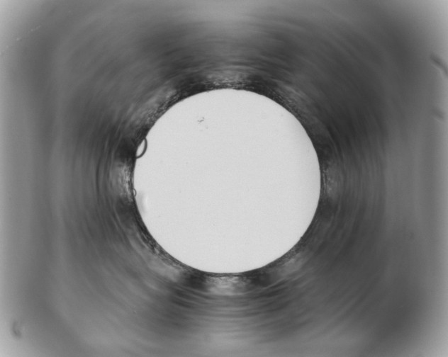 X0000102470575200809051335