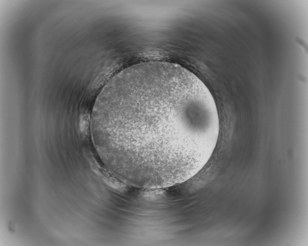 X0000102470576200809051335