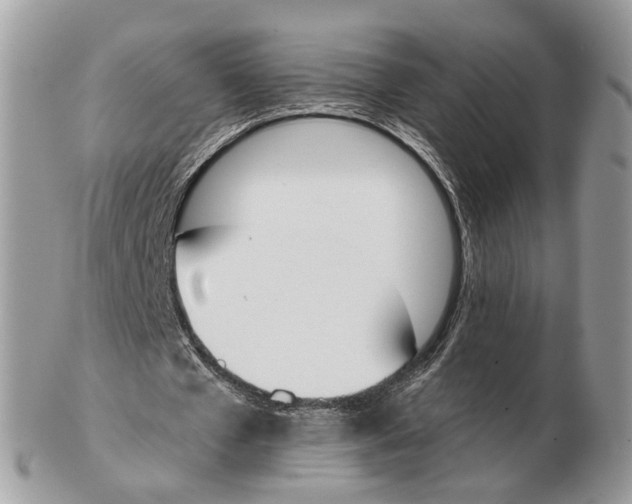 X0000102470577200809051335