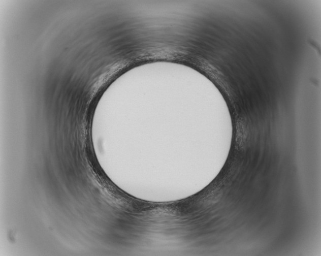 X0000102470578200809051335