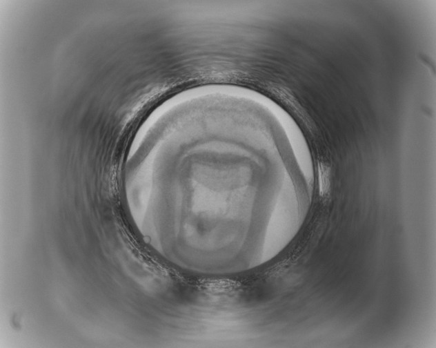 X0000102470579200809051335