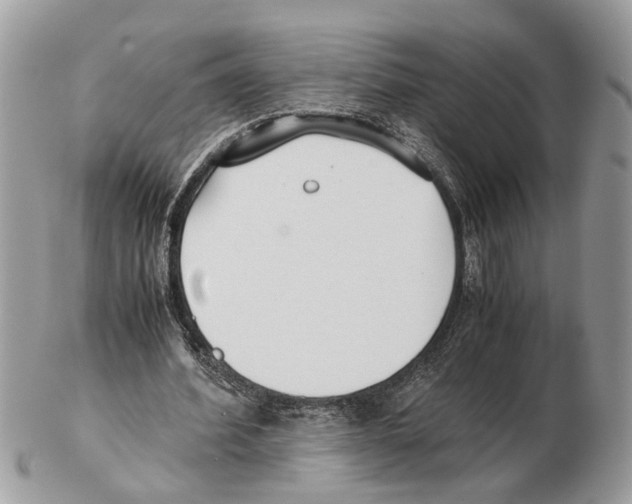 X0000102470580200809051335