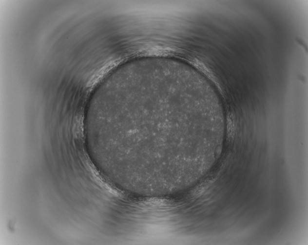 X0000102470581200809051335