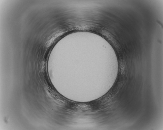 X0000102470583200809051335