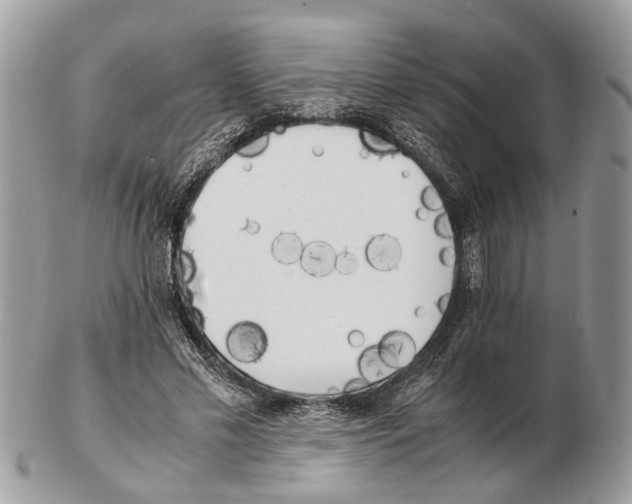 X0000102470589200809051335
