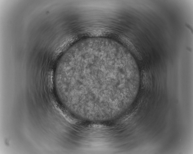 X0000102470590200809051335