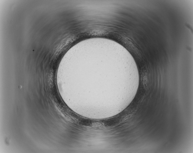 X0000102470591200809051335