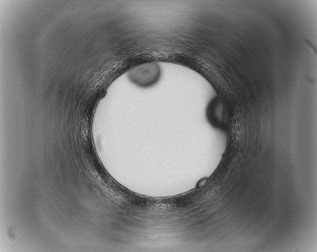 X0000102470593200809051335