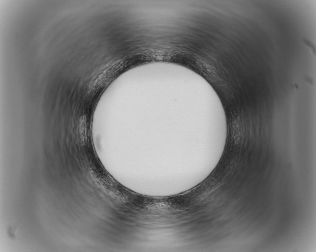 X0000102470594200809051335
