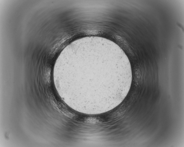 X0000102470596200809051335