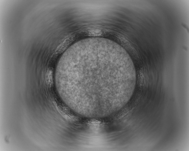 X0000102470598200809051335