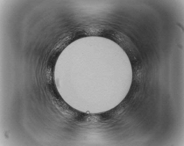 X0000102470599200809051334
