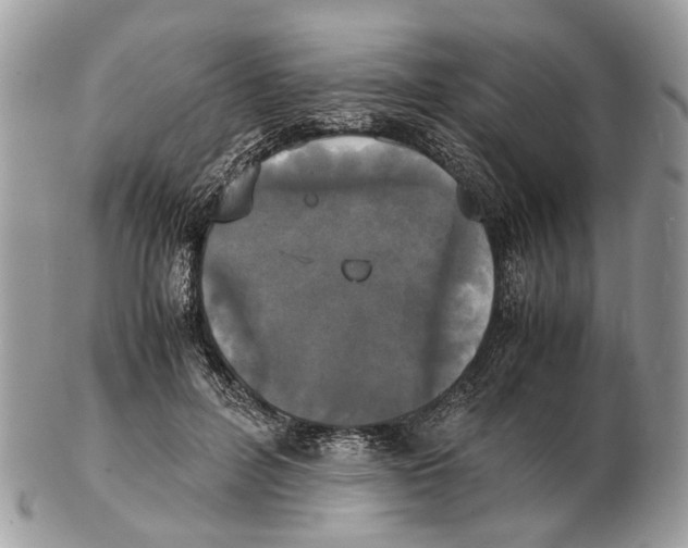 X0000102470600200809051334