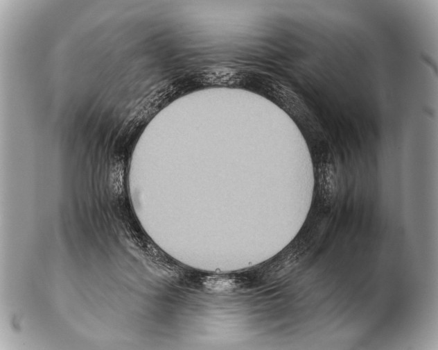 X0000102470602200809051334