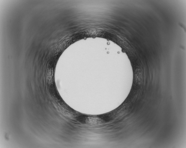 X0000102470605200809051334