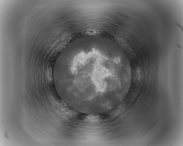 X0000102470606200809051334