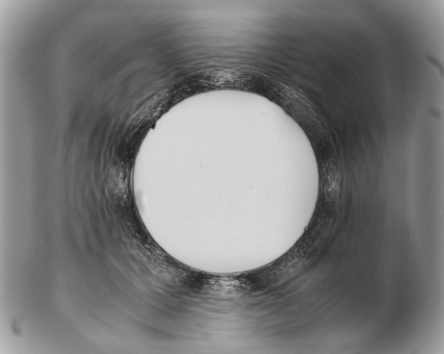 X0000102470607200809051334