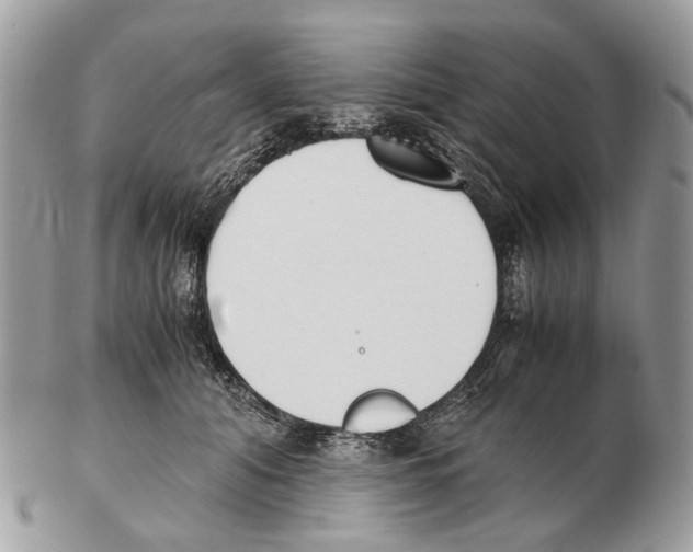 X0000102470608200809051334
