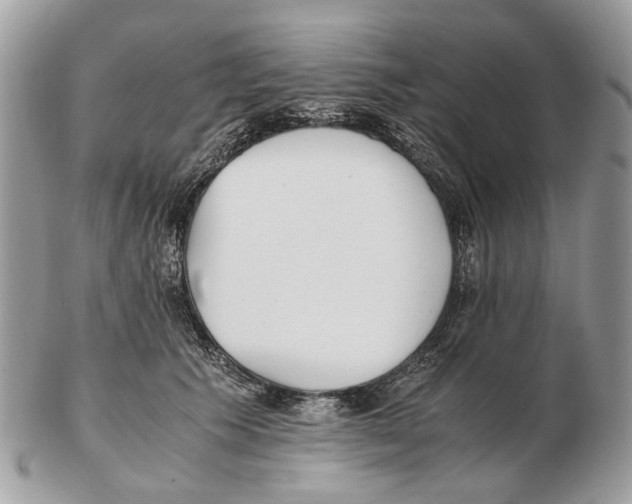 X0000102470609200809051334