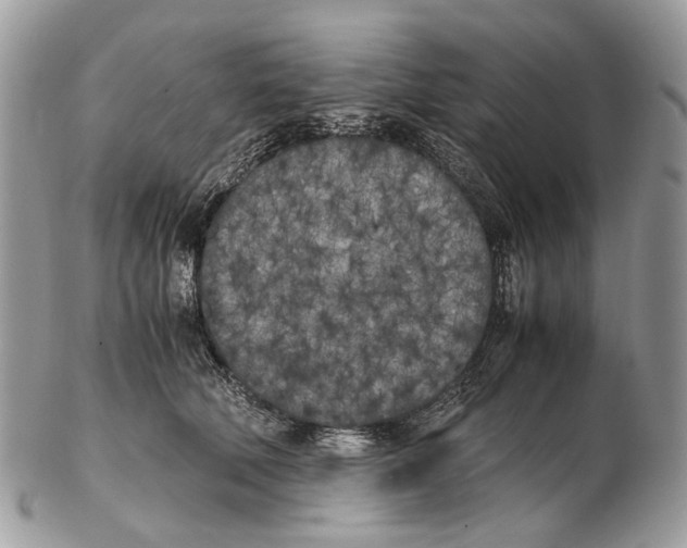 X0000102470610200809051334
