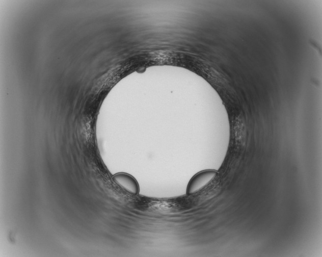 X0000102470611200809051334