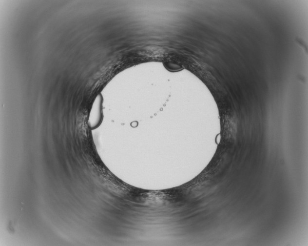 X0000102470612200809051334