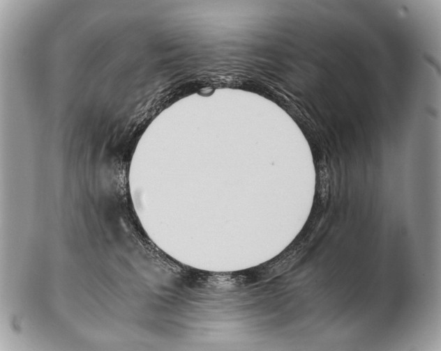X0000102470613200809051334