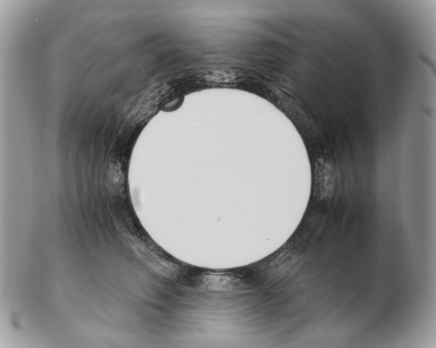 X0000102470614200809051334