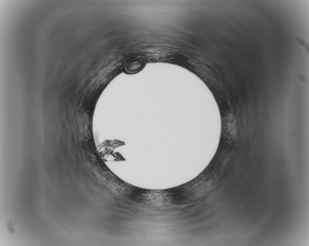 X0000102470615200809051334