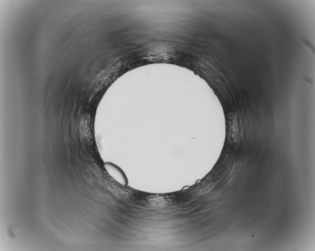 X0000102470616200809051334