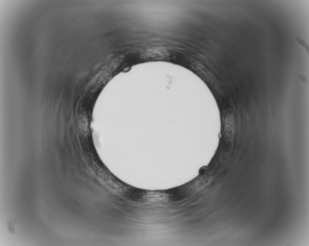 X0000102470617200809051334
