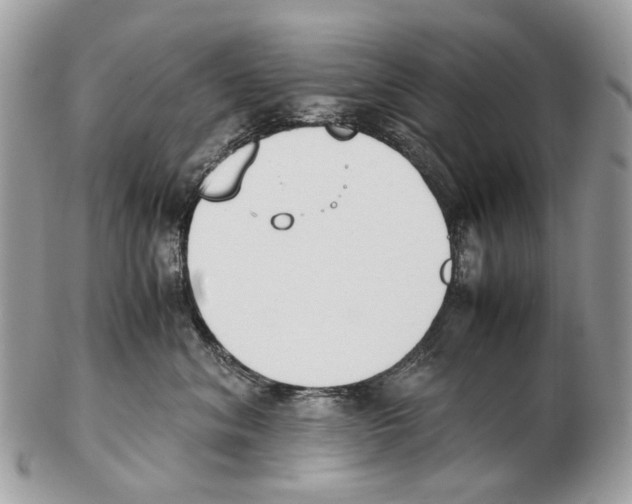 X0000102470620200809051334