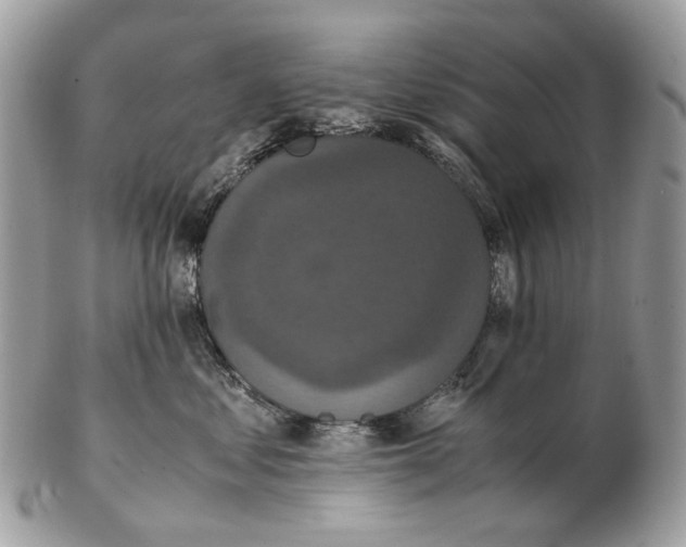 X0000102470621200809051334