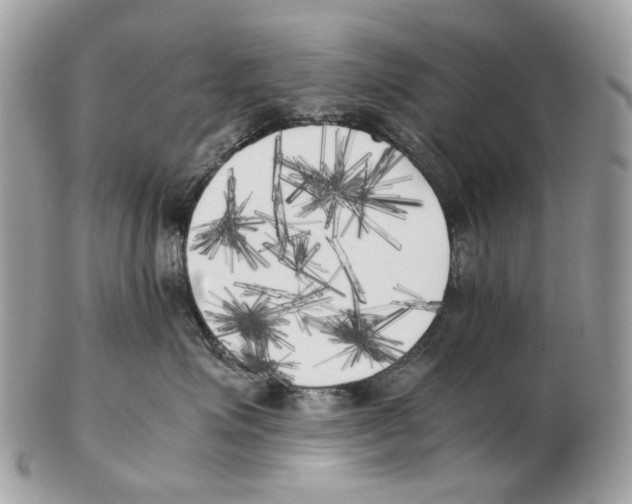 X0000102470623200809051334