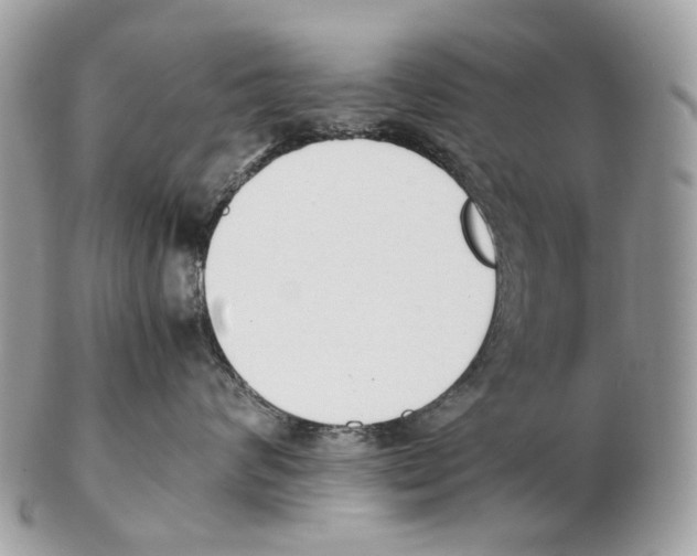 X0000102470624200809051334
