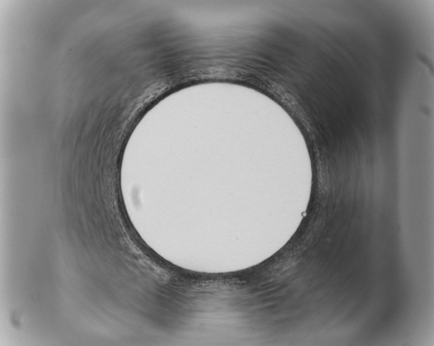 X0000102470625200809051333