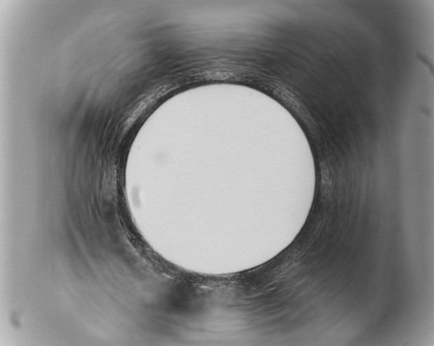 X0000102470626200809051334