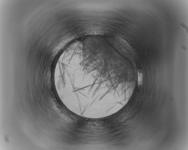 X0000102470627200809051334