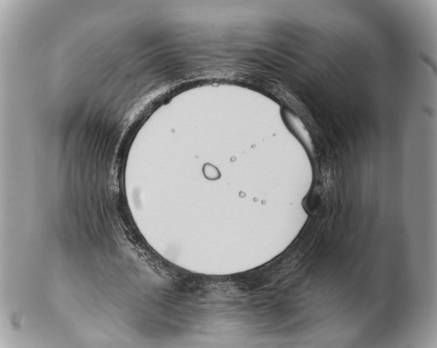 X0000102470628200809051334