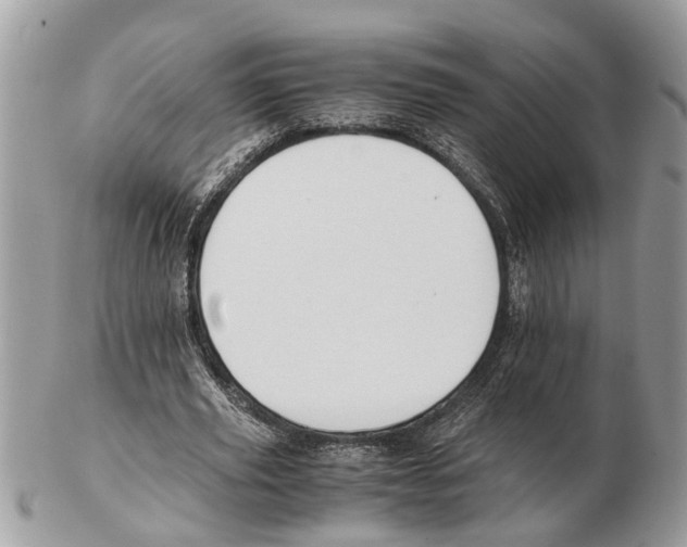 X0000102470629200809051334