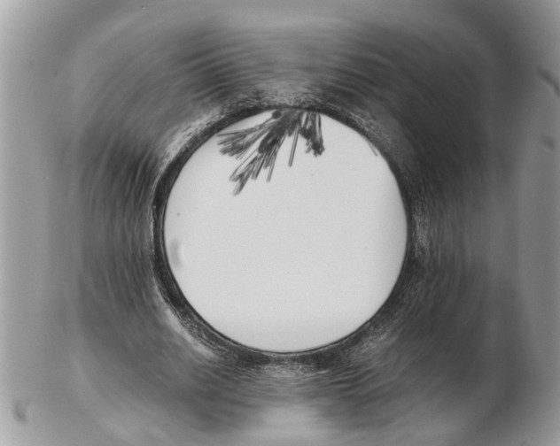 X0000102470630200809051334