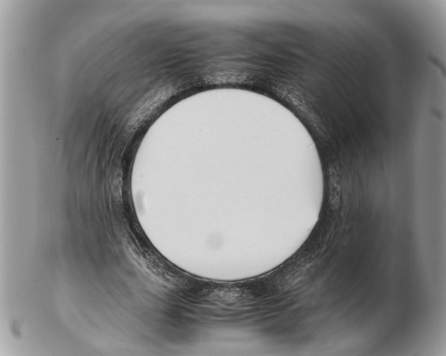 X0000102470631200809051334