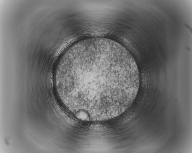 X0000102470634200809051334