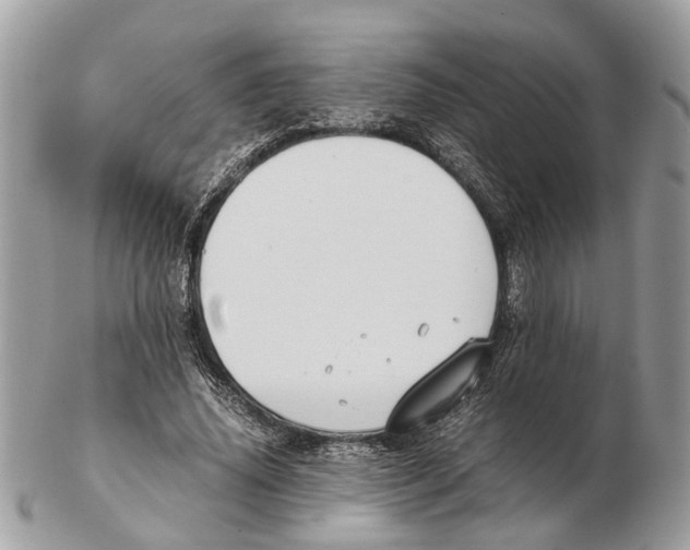 X0000102470636200809051334