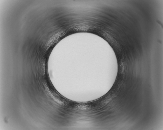 X0000102470638200809051334