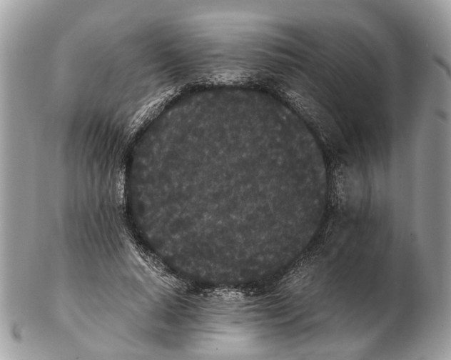 X0000102470640200809051334